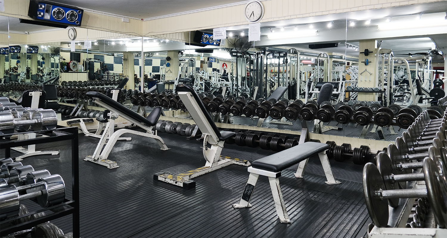 bicep weights area bench machine strength titan hackney bodybuilding gym